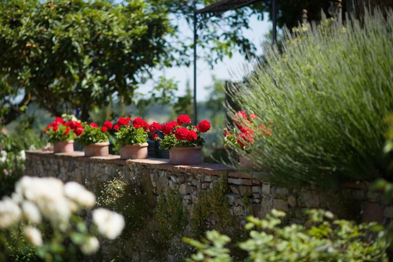 Ancora Del Chianti Bed & Breakfast Greve in Chianti Exterior photo